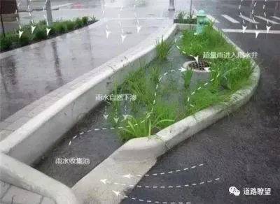 海绵城市是什么意思？让城市像生态海绵一样弹性应对雨洪的城市建设新理念