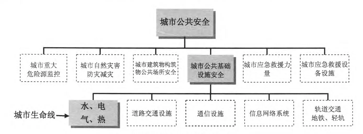 城市生命线系统危机分析与评估